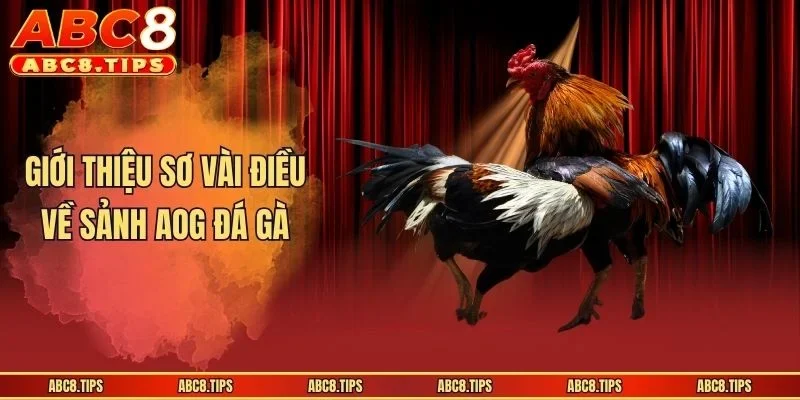Sảnh AOG Đá Gà - Sân Chơi An Toàn Uy Tín Số 1 Thị Trường 2 Giới thiệu sơ vài điều về sảnh AOG đá gà