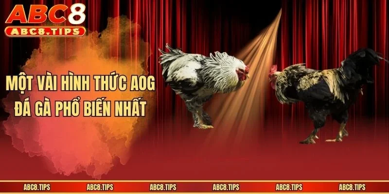 Sảnh AOG Đá Gà - Sân Chơi An Toàn Uy Tín Số 1 Thị Trường 4 Một vài hình thức AOG đá gà phổ biến nhất