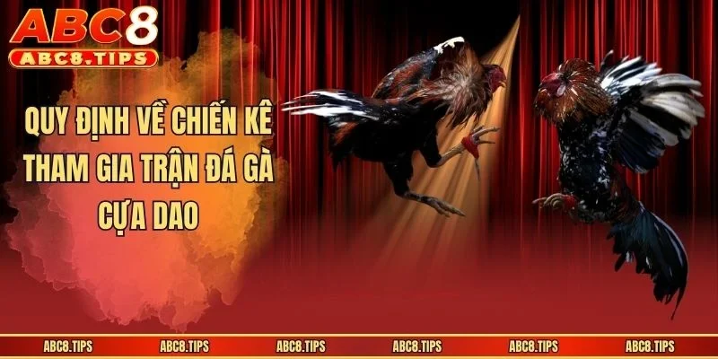 Đá Gà Cựa Dao - Loại Hình Thi Đấu Căng Não, Kịch Tính 3 Quy định về chiến kê tham gia trận đá gà cựa dao