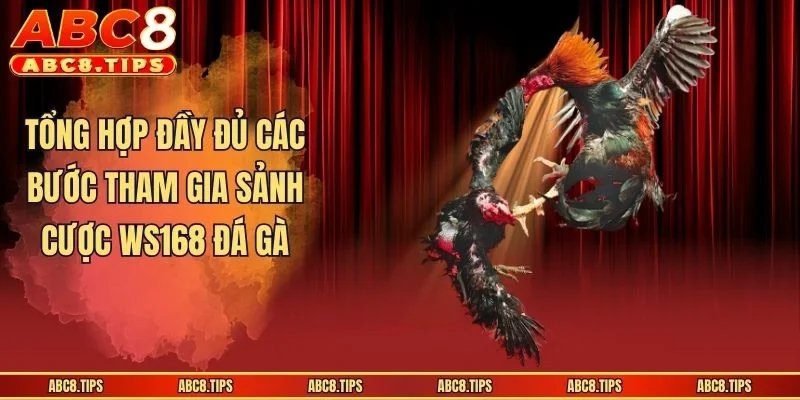 WS168 Đá Gà - Sảnh Cá Cược Sôi Động, Uy Tín Nhất Hiện Nay 4 Tổng hợp đầy đủ các bước tham gia sảnh cược WS168 đá gà
